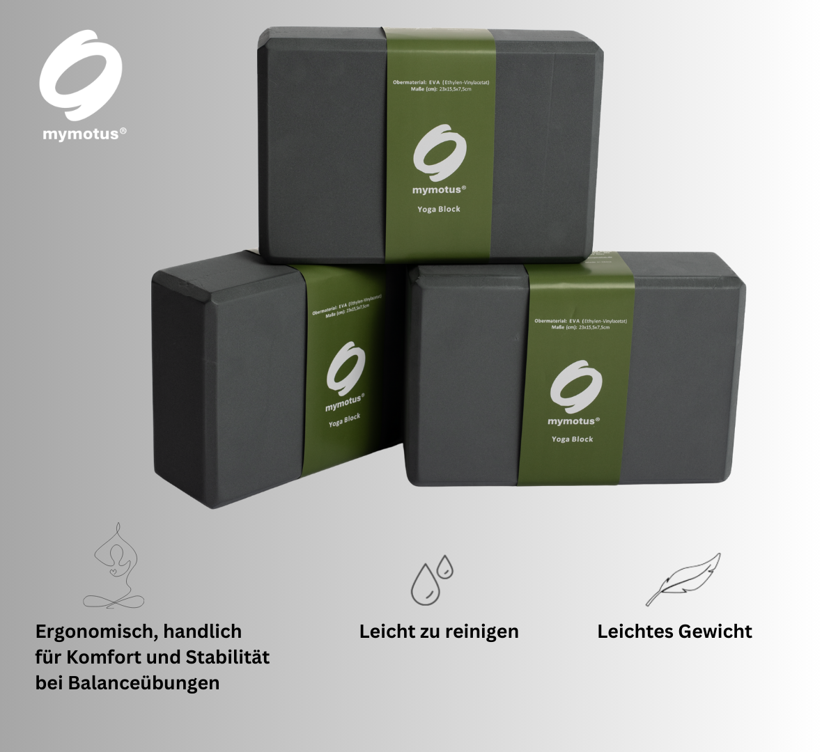 Mymotus Yoga - Set : Matte + 2 Blöcke ACC230