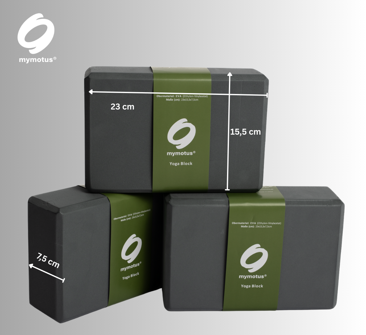 Mymotus Yoga - Set : Matte + 2 Blöcke ACC230