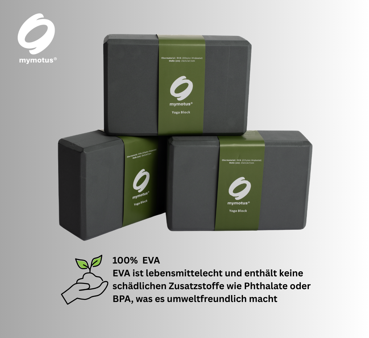 Mymotus Yoga - Set : Matte + 2 Blöcke ACC230